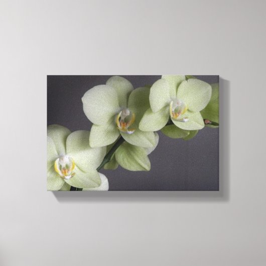 Toile Orchidée fleurit Élégante Humeur Chic (Recto)