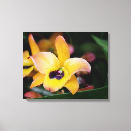 Toile Orchidée jaune et Brown (Recto)