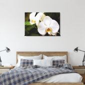 Toile Orchidée Lune Blanche (Phalaenopsis Aphrodite) (Insitu(Chambre))
