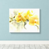 Toile Orchidée papillon jaune au soleil (Insitu (Plancher de Bois))