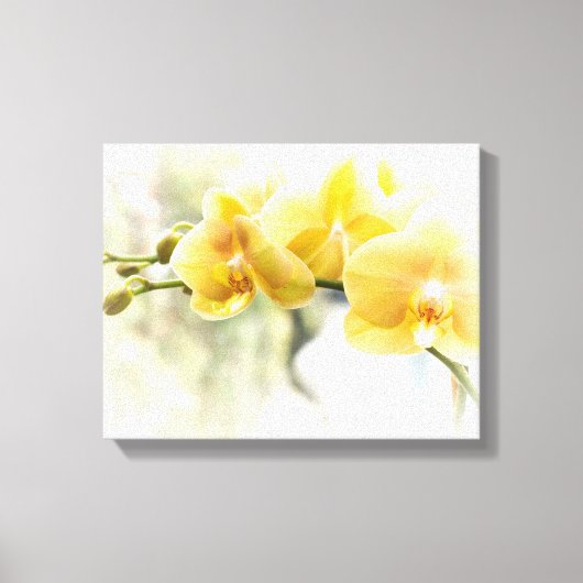 Toile Orchidée papillon jaune au soleil (Recto)