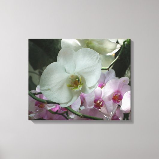 Toile Orchidées blanches et violettes (Recto)