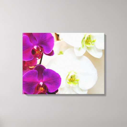 Toile Orchidées blanches tropicales numéro trois (Recto)
