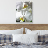 Toile Orchidées Blancs (Insitu(Chambre))