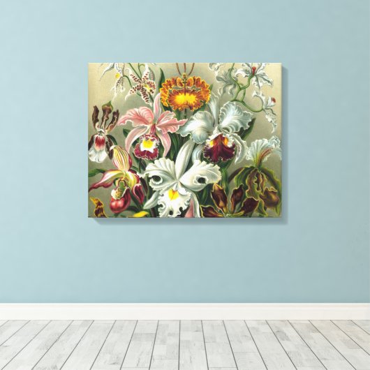 Toile Orchidées d'art - Formes d'art de la nature (Insitu (Plancher de Bois))