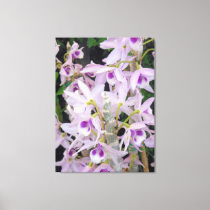 Toile Orchidées de Honohono
