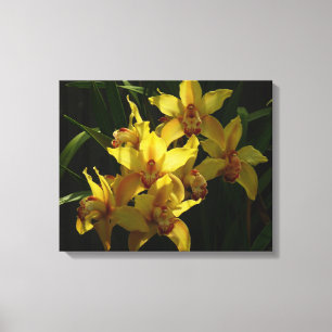 Toile Orchidées Jaunes Sunlit Floral
