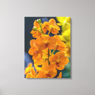 Toile Orchidées orangées en gros plan