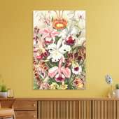 Toile Orchidées, Orchideae Denusblumen par Ernst Haeckel (Insitu(Salon))