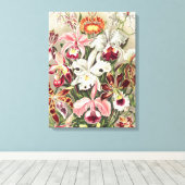 Toile Orchidées, Orchidée Denusblumen par Ernst Haeckel (Insitu (Plancher de Bois))