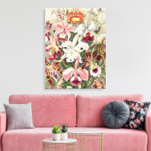 Toile Orchidées, Orchidée Denusblumen par Ernst Haeckel (Insitu(Salon))