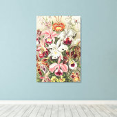 Toile Orchidées, Orchidée Denusblumen par Ernst Haeckel (Insitu (Plancher de Bois))