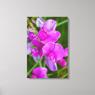 Toile Orchidées pourpres