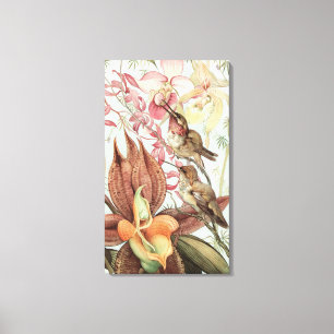 Toile Orchidées tropicales vintage, fleurs et colibris