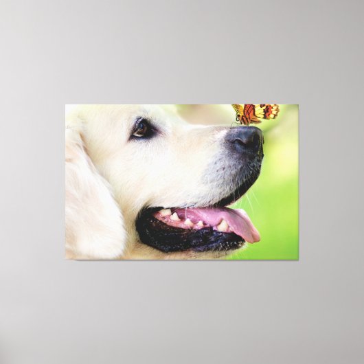 Toile Oreiller À Lancer Du Labrador Et Du Papillon (Recto)
