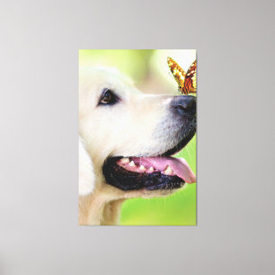 Toile Oreiller À Lancer Du Labrador Et Du Papillon