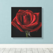 Toile oreiller rouge (Insitu (Plancher de Bois))