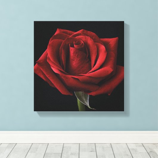 Toile oreiller rouge (Insitu (Plancher de Bois))