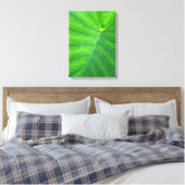 Toile Oreilles éléphantes - Colocasia (Insitu(Chambre))