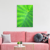 Toile Oreilles éléphantes - Colocasia (Insitu(Salon))