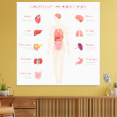 Toile Organes du corps humain (Insitu(Salon))