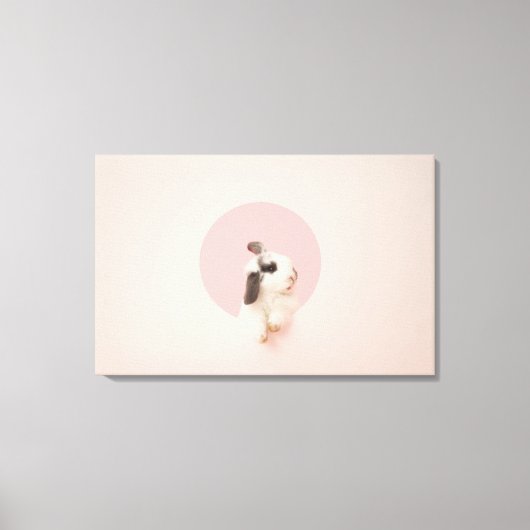 Toile Oryctolagus cuniculus (Recto)