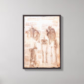 Toile Os de squelette de Léonard de Vinci, anatomie huma (Recto)
