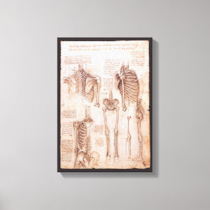 Toile Os de squelette de Léonard de Vinci, anatomie huma