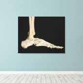 Toile Os du pied (Insitu (Plancher de Bois))