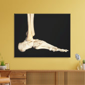 Toile Os du pied (Insitu(Salon))