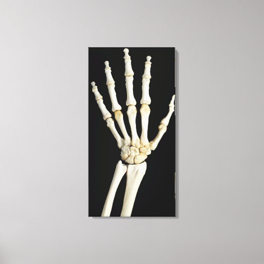 Toile Os main (Recto)