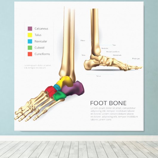 Toile Os pied (Insitu (Plancher de Bois))