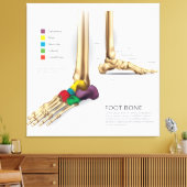 Toile Os pied (Insitu(Salon))