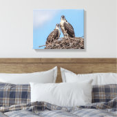 Toile Osprey juvénile dans le nid (Insitu(Chambre))