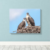 Toile Osprey juvénile dans le nid (Insitu (Plancher de Bois))