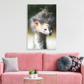 Toile Ostrich (Insitu(Salon))