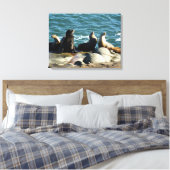 Toile Otaries de San Diego (Insitu(Chambre))