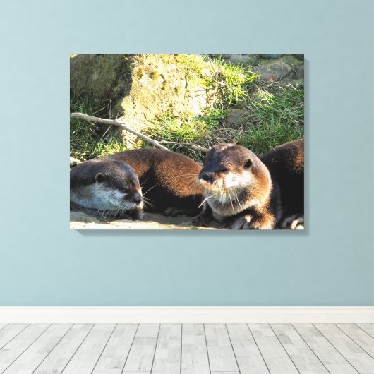 TOILE OTTERS (Insitu (Plancher de Bois))