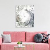 Toile Ouragan Alex au-dessus du golfe du Mexique (Insitu(Salon))