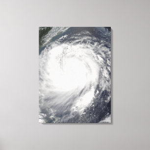 Toile Ouragan Haitang