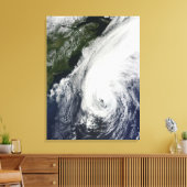 Toile Ouragan Igor (Insitu(Salon))