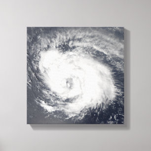 Toile Ouragan Ike 3