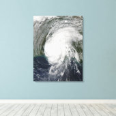 Toile Ouragan Lili 3 (Insitu (Plancher de Bois))
