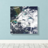 Toile Ouragan Paloma 2 (Insitu (Plancher de Bois))