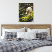 Toile Ours blanc | Colombie-Britannique, Canada (Insitu(Chambre))