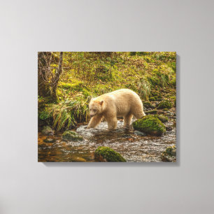 Toile Ours blanc fantôme chasse le poisson dans le ruiss