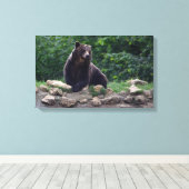 Toile ours Brown (Insitu (Plancher de Bois))