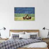 Toile Ours Brown en jeu, Ursus arctos, Alaska (Insitu(Chambre))