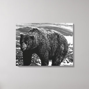 Toile Ours brun d'Alaska USA vintage