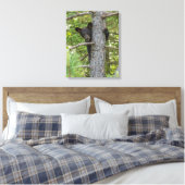 Toile Ours Brun Jeune Grimpant à un Arbre (Insitu(Chambre))